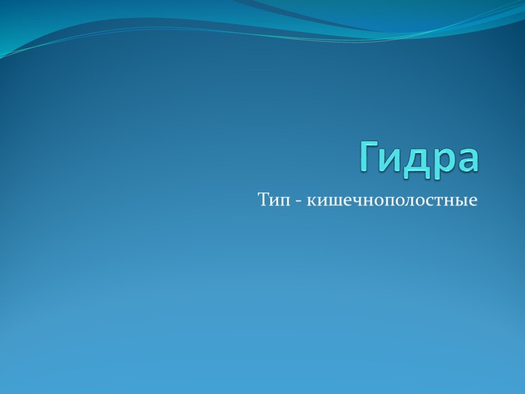 Матанга сайт 2web