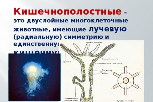 Кракен ссылка прокатис