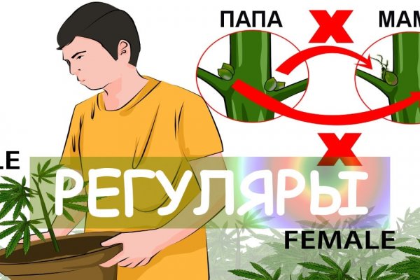Обход блокировки сайта мега onion top com