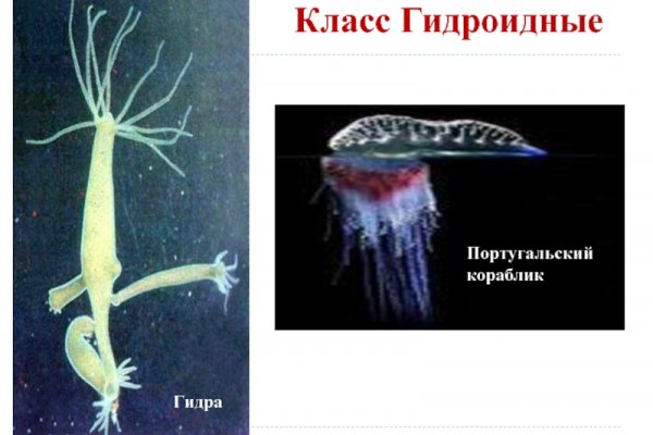 Рамп как войти