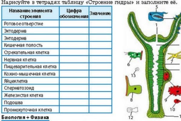 Адрес сайта кракен