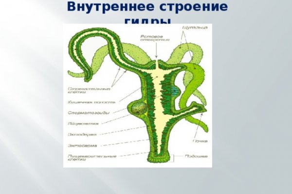Телеграм аналог гидры
