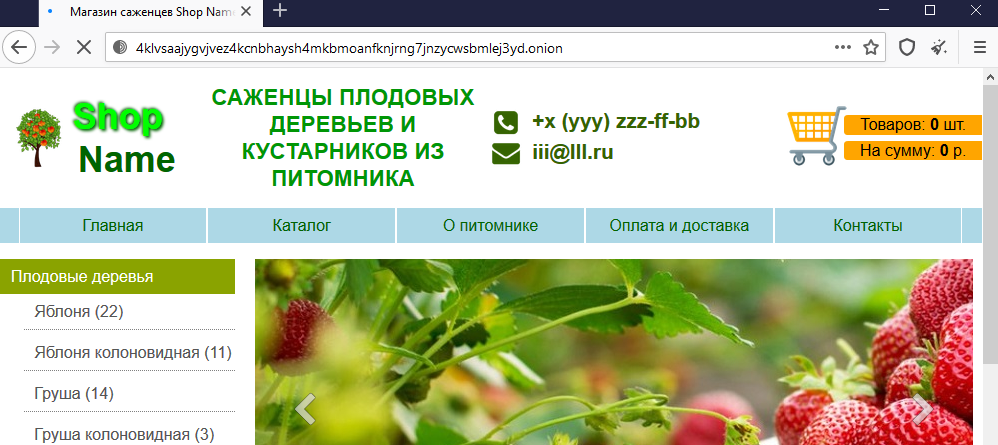 Ссылка на мега тор официально